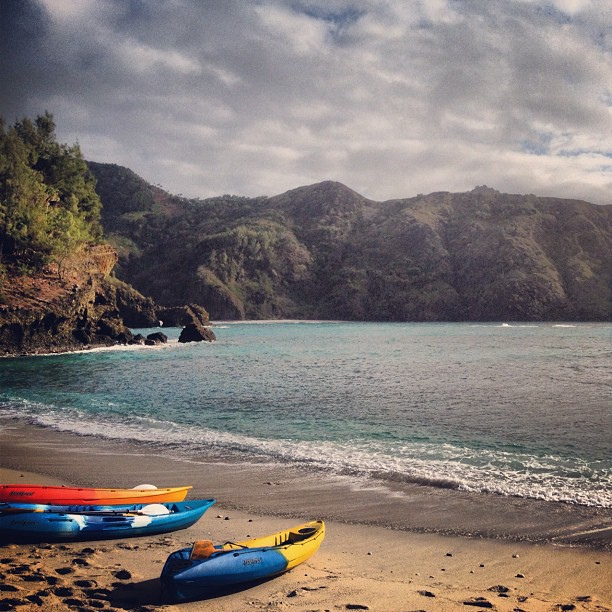 小笠原諸島の画像19