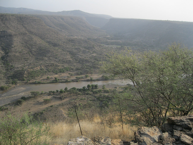 アワッシュ川下流域の画像1