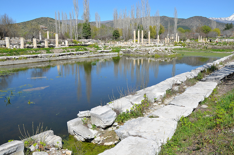 アフロディシアスの画像29