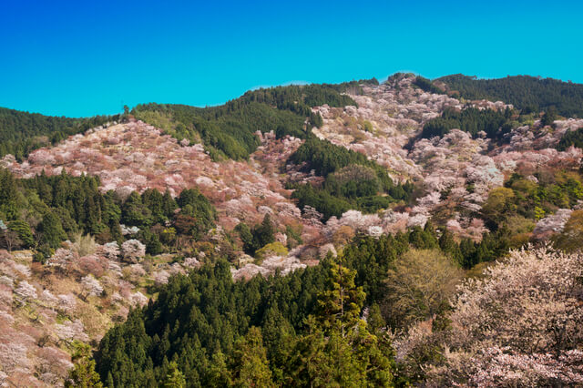 紀伊山地の霊場と参詣道の画像4