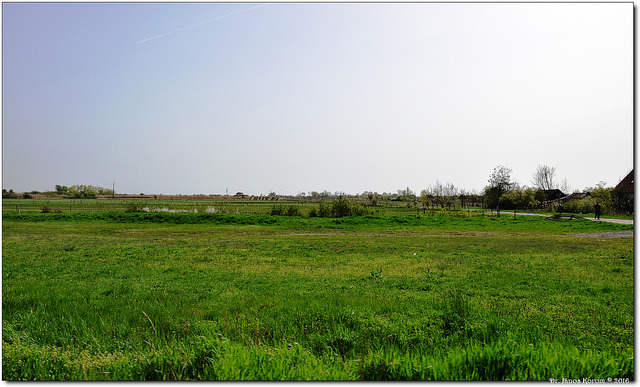 ホルトバージ国立公園-プスタの画像1
