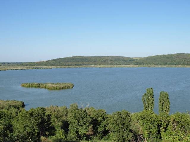 スレバルナ自然保護区の画像1