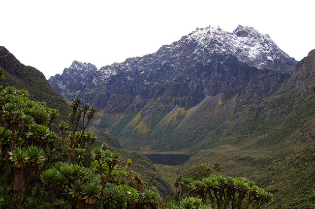 ルウェンゾリ山地国立公園の画像1
