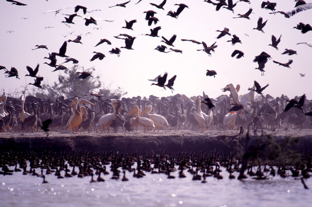 ジュッジ国立鳥類保護区の画像1