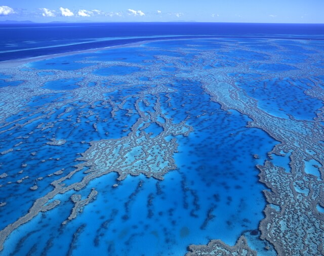 グレート・バリア・リーフの画像3