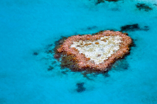 グレート・バリア・リーフの画像6