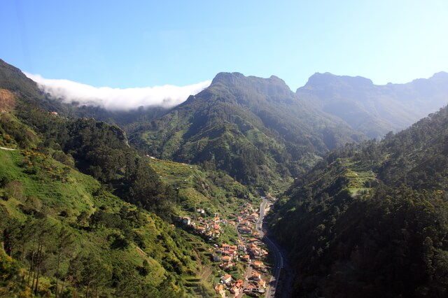 マデイラ島の照葉樹林の画像1