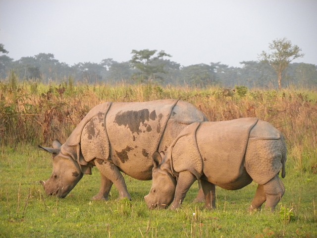 マナス野生生物保護区の画像1