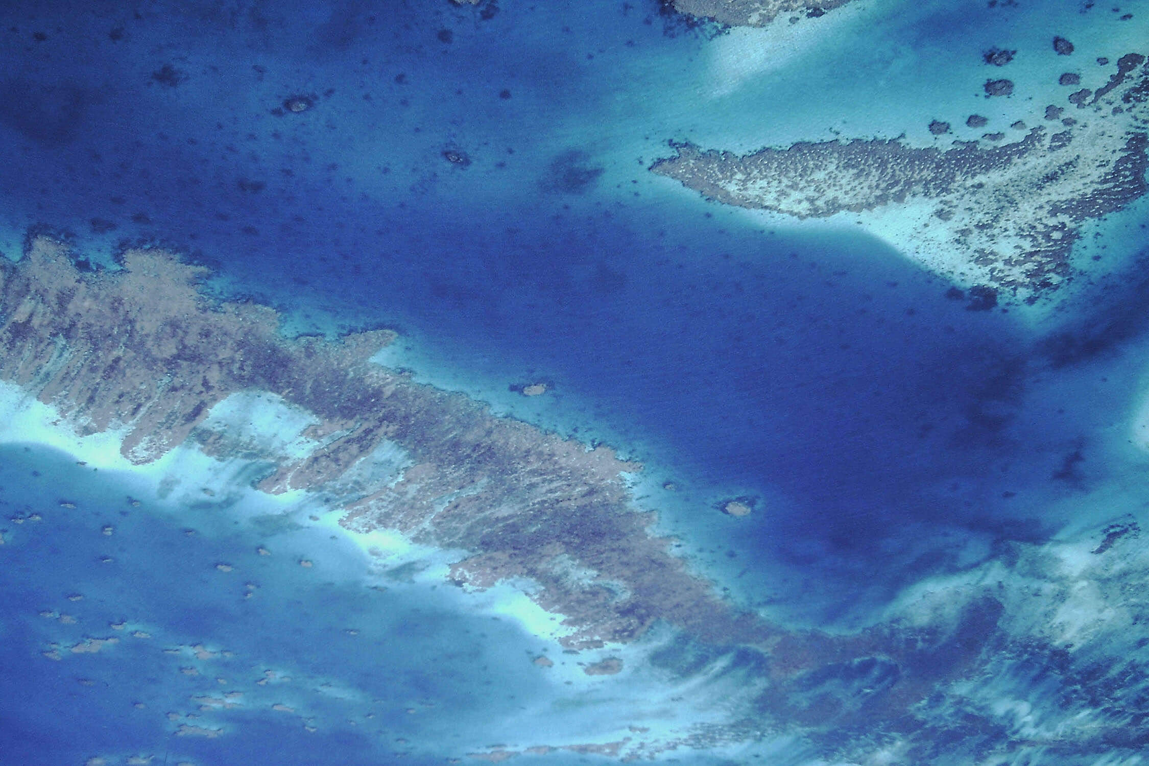 ニューカレドニアの珊瑚礁：環礁の多様性と関連する生態系