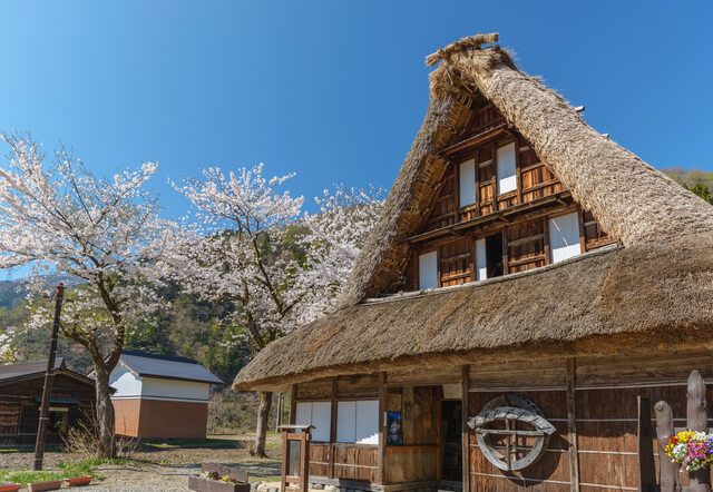 白川郷・五箇山の合掌造り集落の画像24
