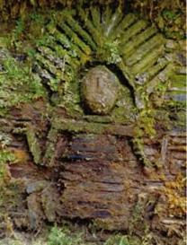 リオ・アビセオ国立公園の画像2