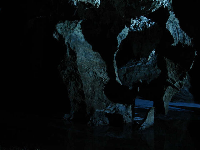 南アフリカ人類化石遺跡群の画像1