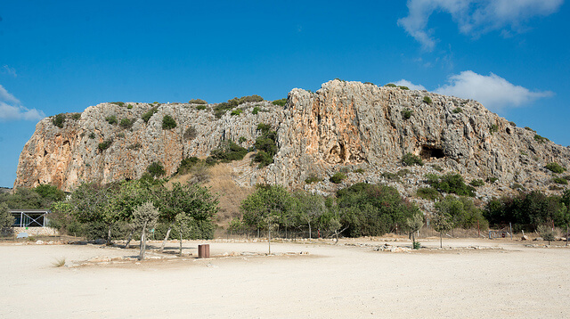 人類の進化を示すカルメル山の遺跡：ナハル・メアロット／ワディ・エルムガーラ渓谷の洞窟群