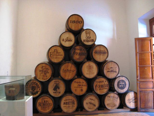 リュウゼツラン景観と古代テキーラ産業施設群の画像3