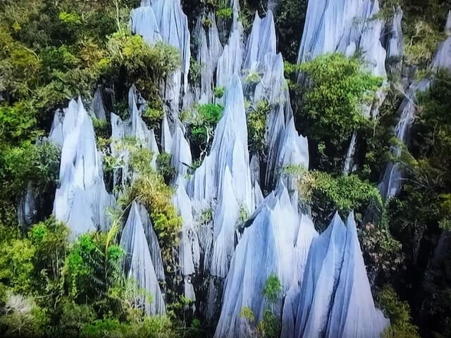 グヌン・ムル国立公園の画像2