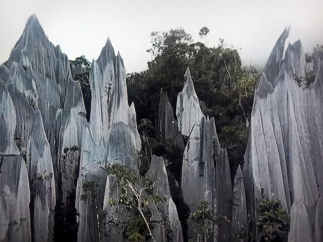 グヌン・ムル国立公園の画像1