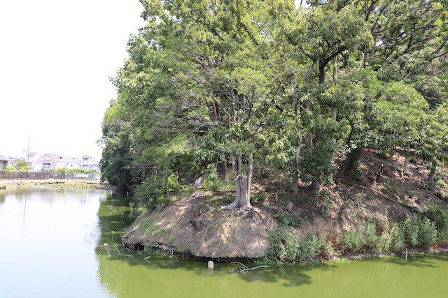 永山古墳の画像1