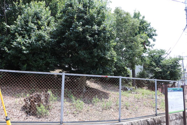 源右衛門山古墳の画像1