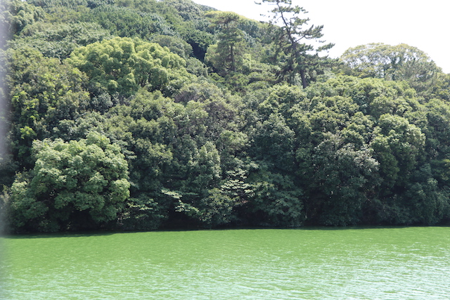 履中天皇陵古墳の画像6