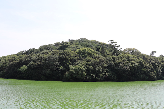 履中天皇陵古墳の画像5