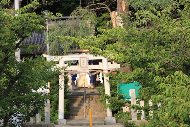 津堂城山古墳の画像3