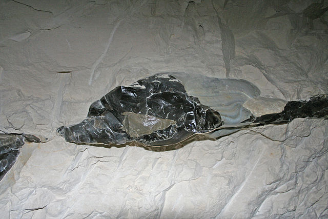 クシェミオンキの先史時代縞状燧石採掘地域の画像1