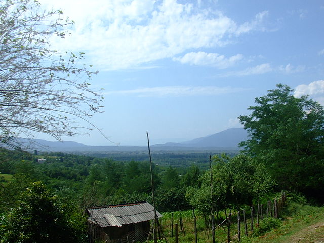 コルキスの雨林・湿地群の画像1