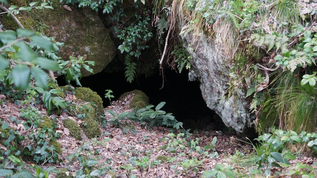 佐渡島の金山の画像5