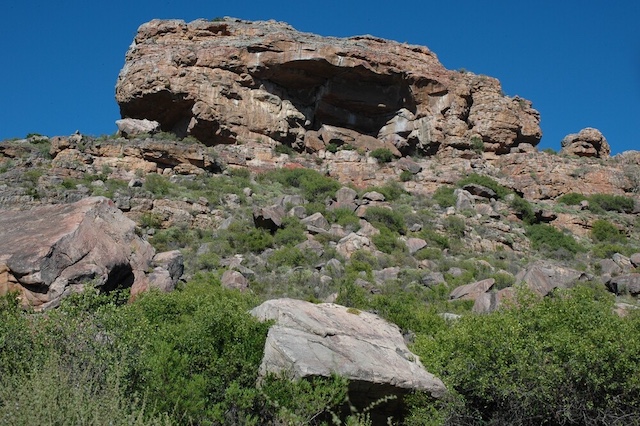 現代人類の出現：南アフリカの更新世居住遺跡群の画像1